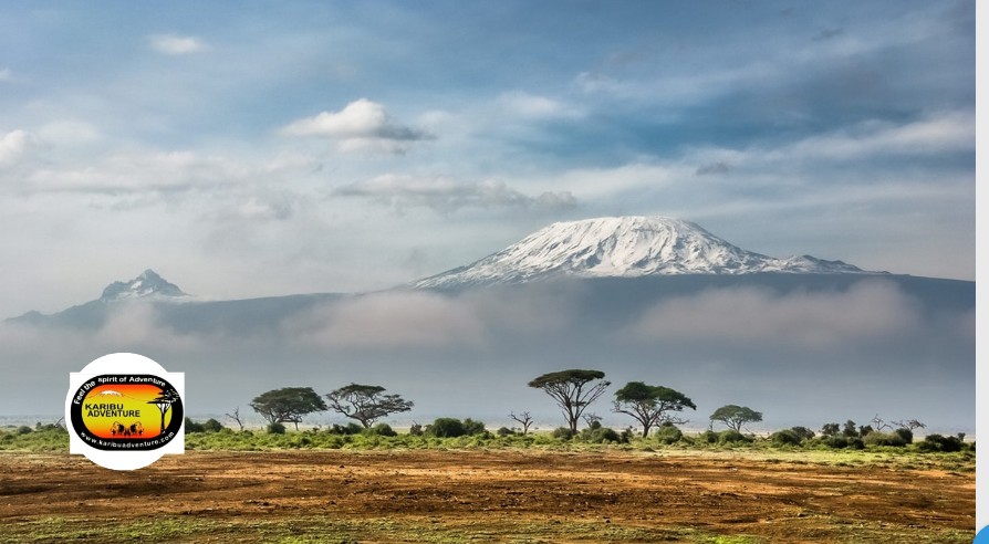 Kilimanjaro Climb Is Not As Technical As You Think