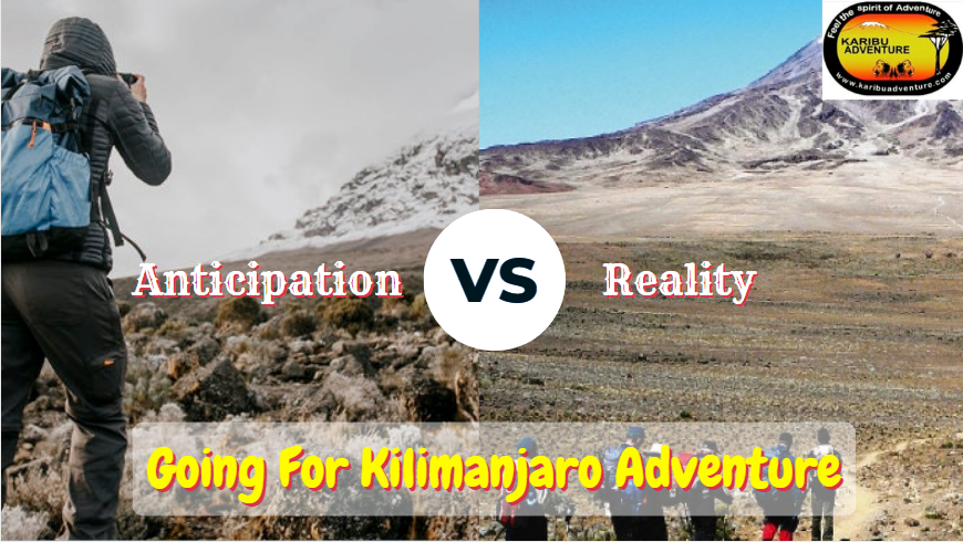 Mount Kilimanjaro Cimbing