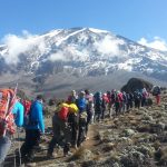 Best Kilimanjaro Routes